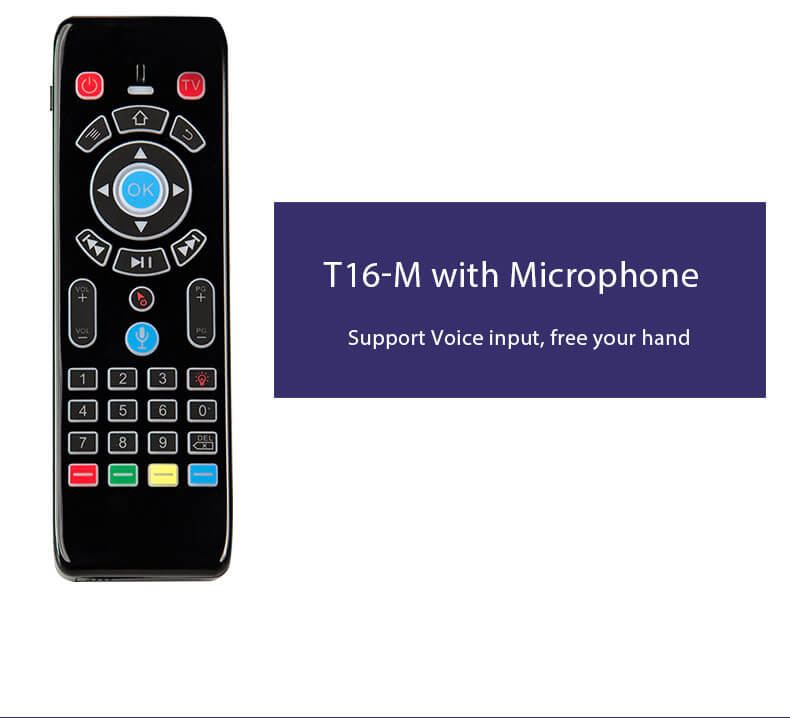 microphone input air mouse